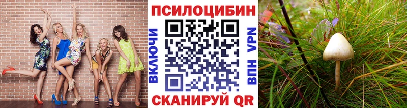 Псилоцибиновые грибы Psilocybe  Могоча 